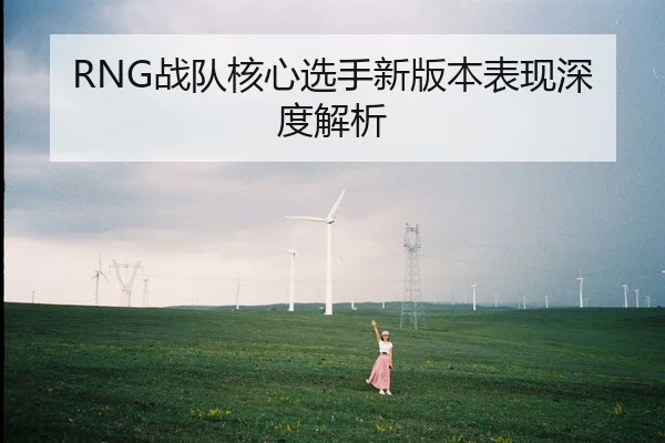 RNG战队核心选手新版本表现深度解析